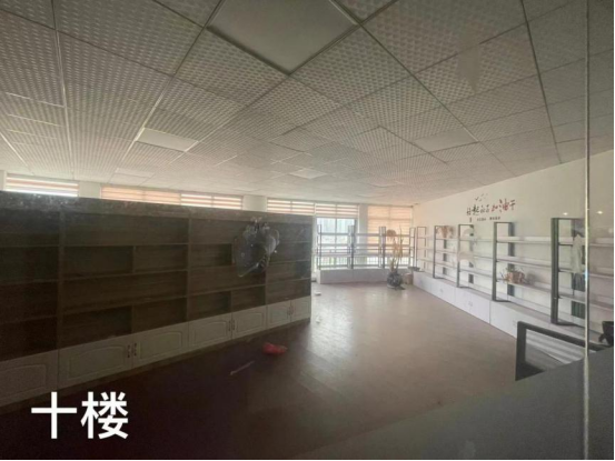 1693808776364054.png image.png