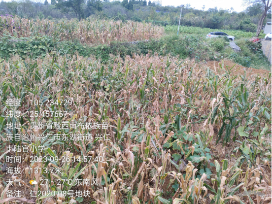 1698717969171858.png image.png