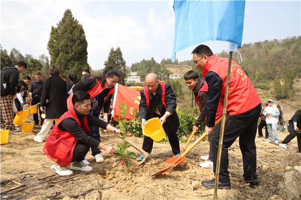 1710294576255302.jpg 4.jpg