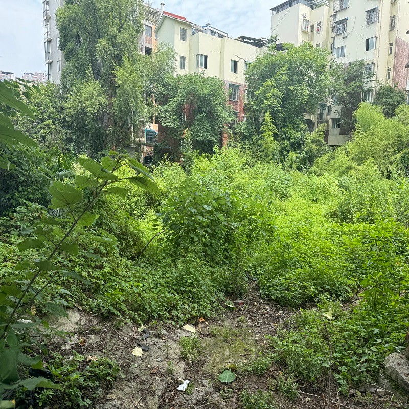 圖片關(guān)鍵詞