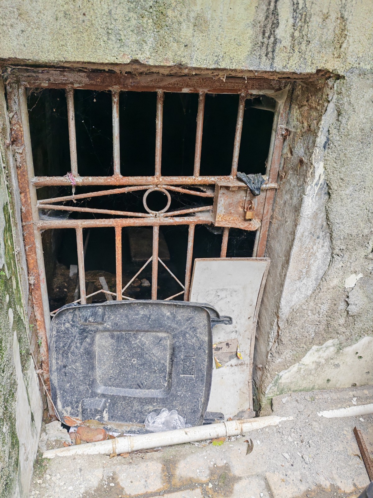 圖片關(guān)鍵詞