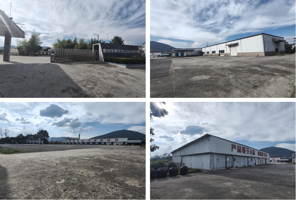 1760002122603593.png image.png