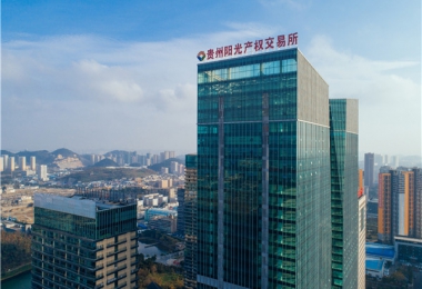 圍繞國發(fā)2號文件精神  聚力“強(qiáng)省會”五年行動  打造綜合性要素交易平臺