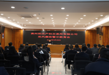 貴州陽(yáng)光產(chǎn)權(quán)交易所開展黨風(fēng)廉政警示教育大會(huì)