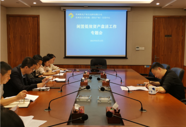 貴州陽(yáng)光產(chǎn)權(quán)交易所召開閑置低效資產(chǎn)盤活工作調(diào)度會(huì)