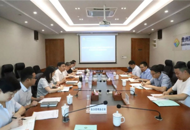 西南聯(lián)合產(chǎn)權(quán)交易所、西藏電子商務有限公司與貴州陽光產(chǎn)權(quán)交易所交流座談會