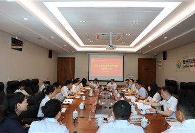 堅持自我革命 筑牢發(fā)展基石——貴州陽光產(chǎn)權(quán)交易所黨委召開2023年上半年全面從嚴治黨分析研判會