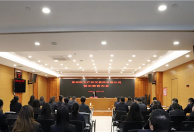 以案為鑒，警醒前行——貴州陽光產權交易所黨委組織召開2024年警示教育大會