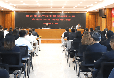 貴州陽光產權交易所有限公司舉辦2024年“安全生產月”專題培訓