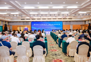 貴陽(yáng)貴安國(guó)企優(yōu)質(zhì)資產(chǎn)“盛宴”開(kāi)席，319項(xiàng)資產(chǎn)集中推介引關(guān)注——貴陽(yáng)貴安國(guó)有企業(yè)資產(chǎn)資源推介會(huì)成功舉辦