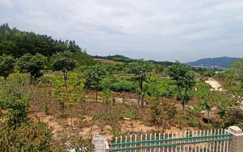 敦寨收費(fèi)站旁土地處置