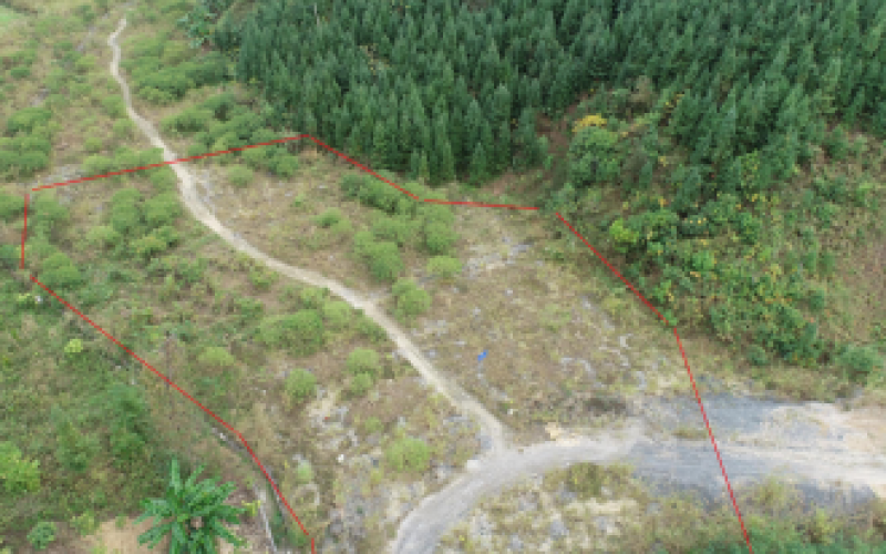 S62余安高速羅望段土地使用權(quán)招租（填平區(qū)2）