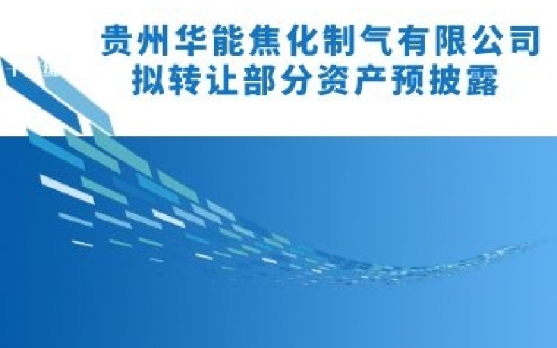 貴州華能焦化制氣有限公司擬轉讓部分資產預披露