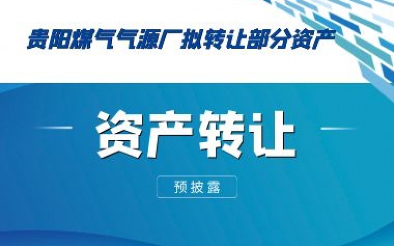 （預披露）貴陽煤氣氣源廠擬轉讓部分資產預披露